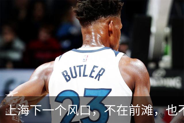 上海下一个风口，不在前滩，也不在临港，而在城市的北面