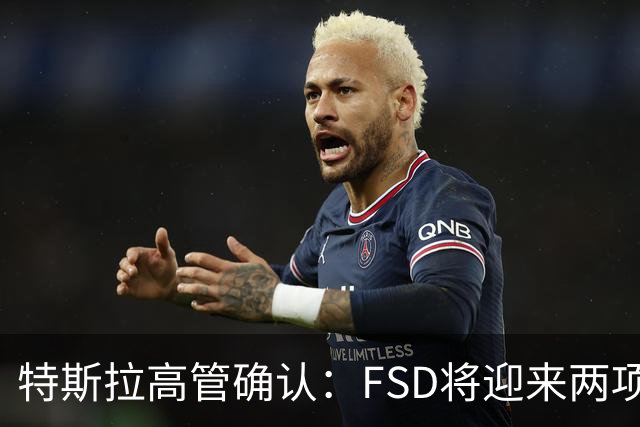 特斯拉高管确认：FSD将迎来两项重要改进！