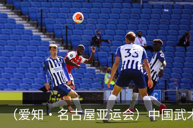 （爱知·名古屋亚运会）中国武术在文莱“种”出亚运奖牌